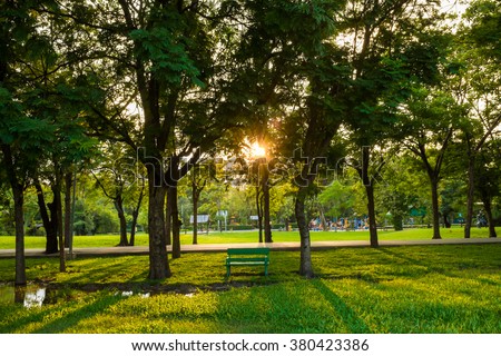 Green park tree outdoor with bench sunlight