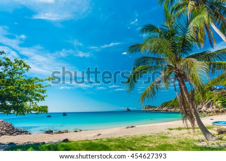 Palm trees on luxury exotic beach in tropical island, Koh tao, Thailand