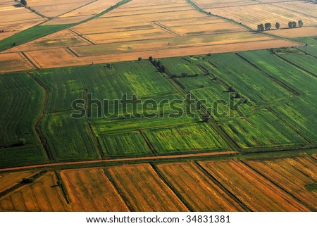 Agricultural view of the fields. Birds view.