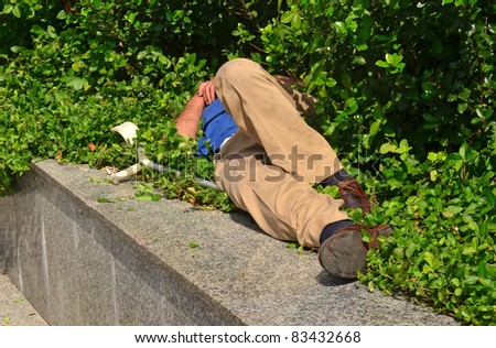 Drunk or homeless person sleeping near pavement