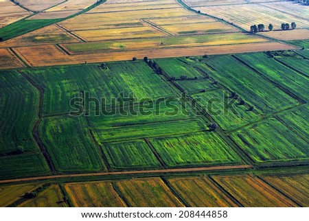 Cultivated land birds view.