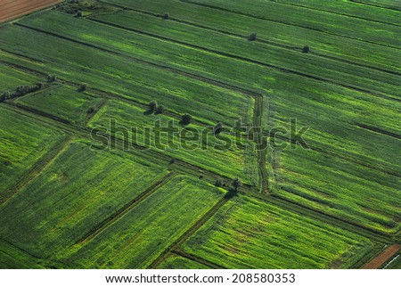 Cultivated green fields. Central europe. Aerial view.