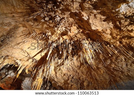 Cavern ceiling in Fantasy Cave, Bermuda Island