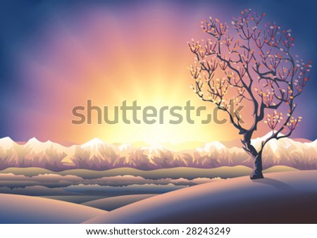 Autumn tree sunset landscape (other landscapes are in my gallery)