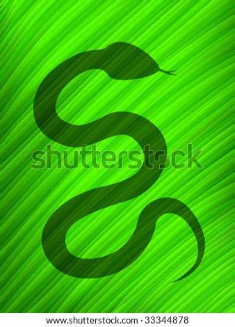 Snake Shadow Over A Big Leaf Stock Vector 33344878 : Sh