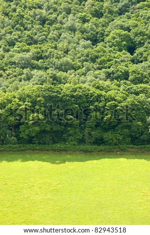 Green open pasture land and forest background