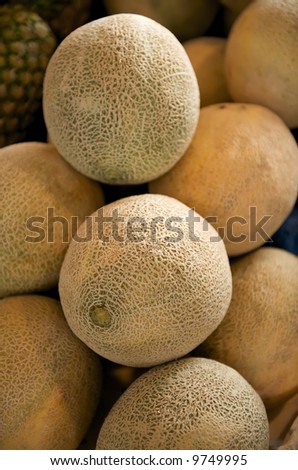 Fresh Cantaloupe on a farmers market stand