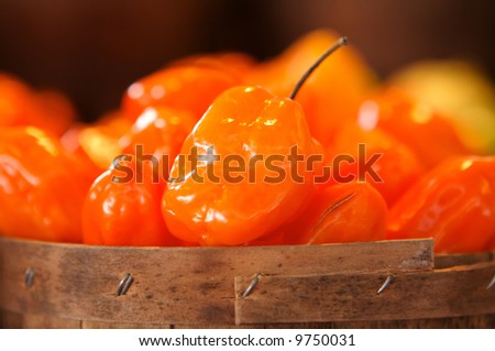 Orange Habanero peppers for sale in a basket on a open air market stall