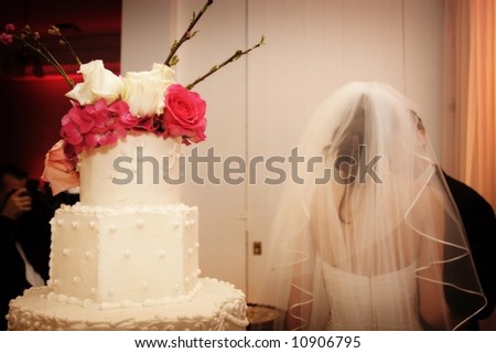 top of the wedding cake with bride and groom kissing