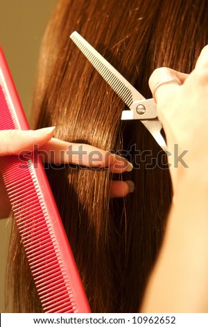 an image of a Female hair cutting at a salon