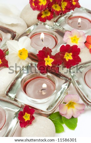 Scented candles, flowers and stones, aromatherapy concept
