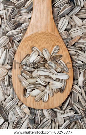 Sunflower seed on wooden spoon close up image