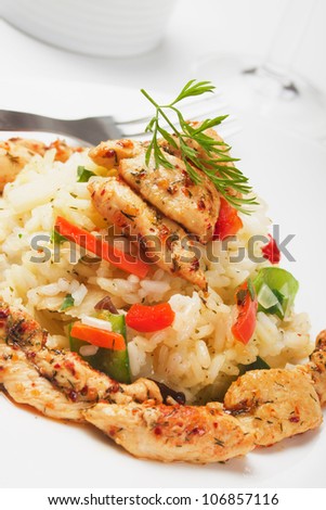 Cooked rice with vegetable and grilled chicken meat