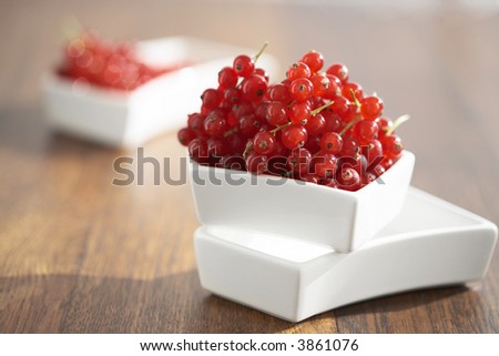 red currant with white table ware wodden background