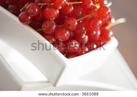 red currant with white table ware wodden background