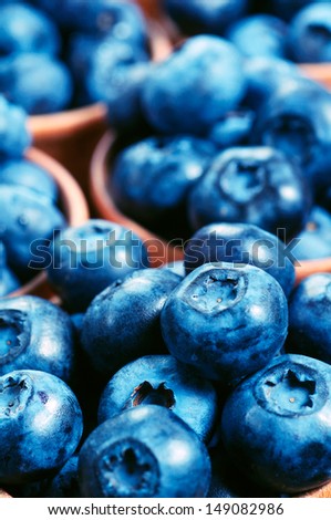 blueberries background,rich harvest of blueberries