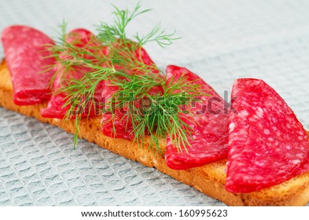 Sandwich with salami and dill isolated on gray background.