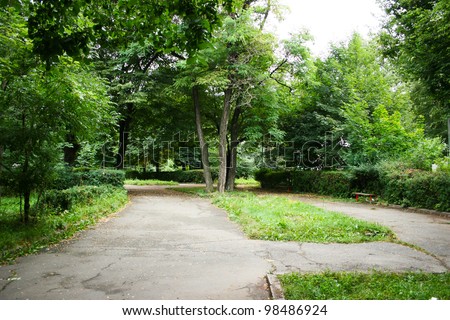 Path in the landscaped park.