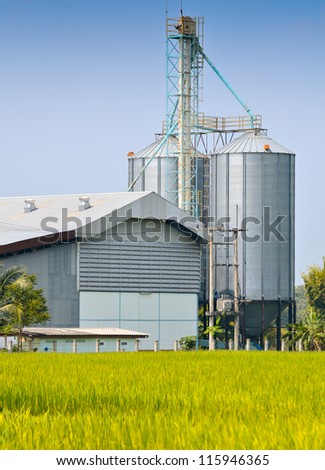 Rice crop and Rice mill over blue sky