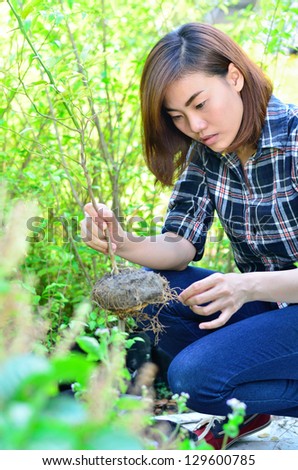 Asian women to potted plants and checking Plant diseases