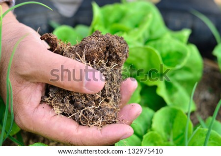 Farmer hand holding compost and organic planting