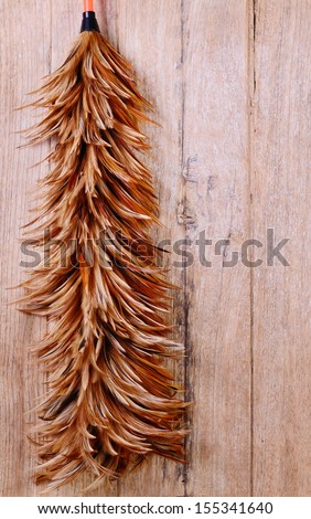 chicken feather duster on wood background