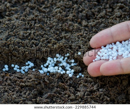 Fertilizer, Soil, Male hand giving Urea plant fertilizer on ground