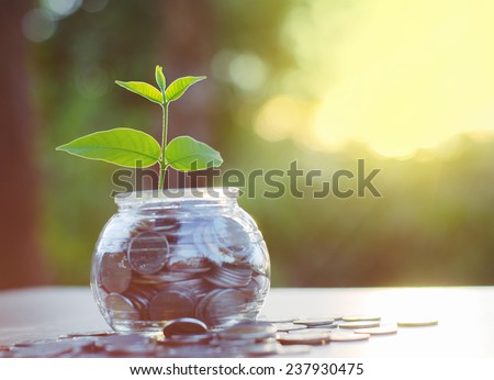 Goldengreen forex