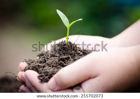 Seeding, Seedling, Sprout growing on female hand for care and planting
