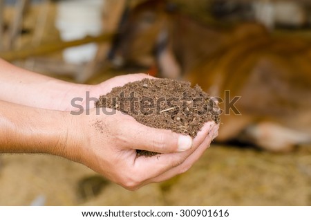 Compost soil, Organic plant fertilizer on farmer hand for plantation