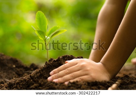 Planting,Seeding,Seedling,Close up Kid hand planting young tree over green background