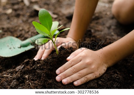 Soil,Planting,Seeding,Seedling,Close up Kid hand planting young tree