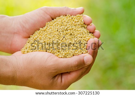 fertilizer,farmer hand holding plant chemical fertilizer over green background