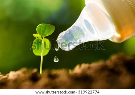 plant, Agriculture, Seeding, Seedling , Close up watering young tree with nipple bottles over green background by water is life and care concept ,seed planting