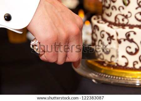 The bride and groom cut the cake together showing their hands and the beautiful wedding cake.