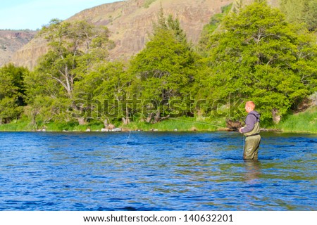 An experienced fly fisherman wades in the water while fly fishing the Deschutes River in Oregon.