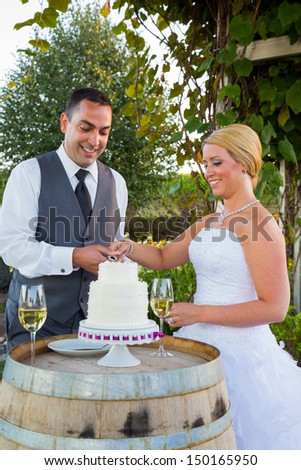 A bride and groom share in the tradition of cutting the cake on their wedding day.