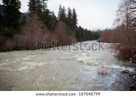 Oregon Willamette River at flood stage with brown water flowing fast through the forest.