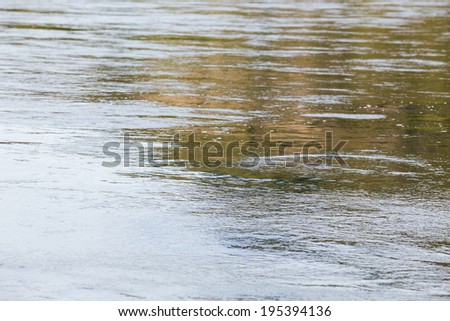 River water patter abstract could be used as a texture or background.