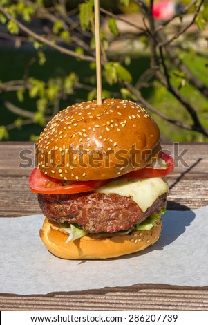 Delicious cheeseburger stacked high with a juicy beef patty, standing on a white paper