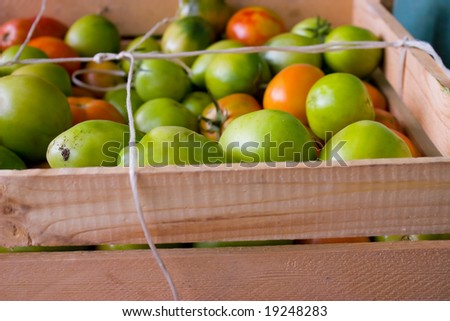 Green tomatoes in wood box