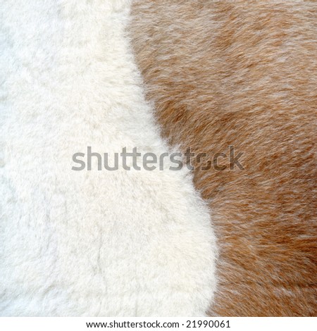 Brown and white fur texture to background
