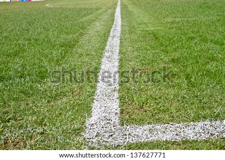 Green grass white line football pitch