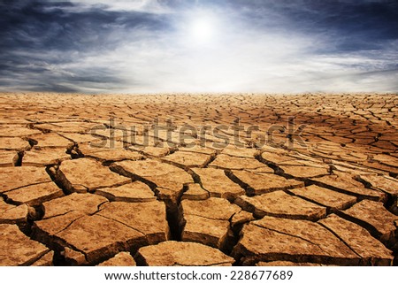 drought cracked desert landscape