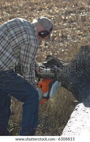 Man Cutting Tree with Chain Saw