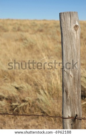 Tree Log made into Fence Post on Ranch in Colorado
