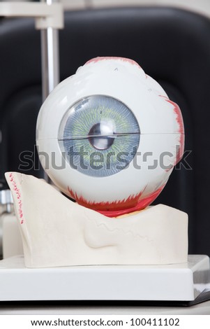Detail of Medical eye model