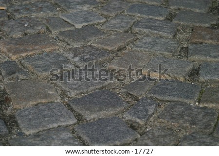 A detail of a cobblestone road.  Good for a background or texture image.