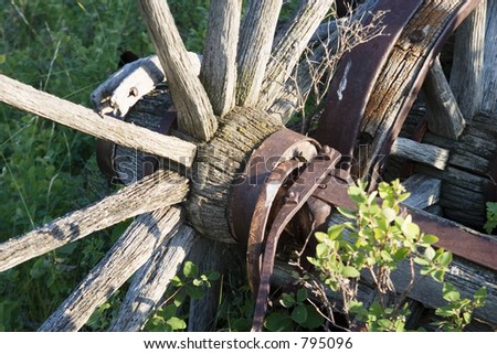 Wagon Wheel Detail