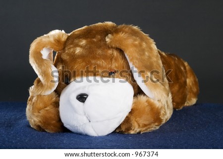 A generic dog stuffed animal posing for the camera.